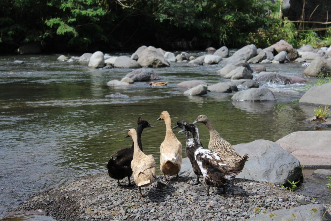 Pondok Tepi Sungai Sidemen  Buitenkant foto