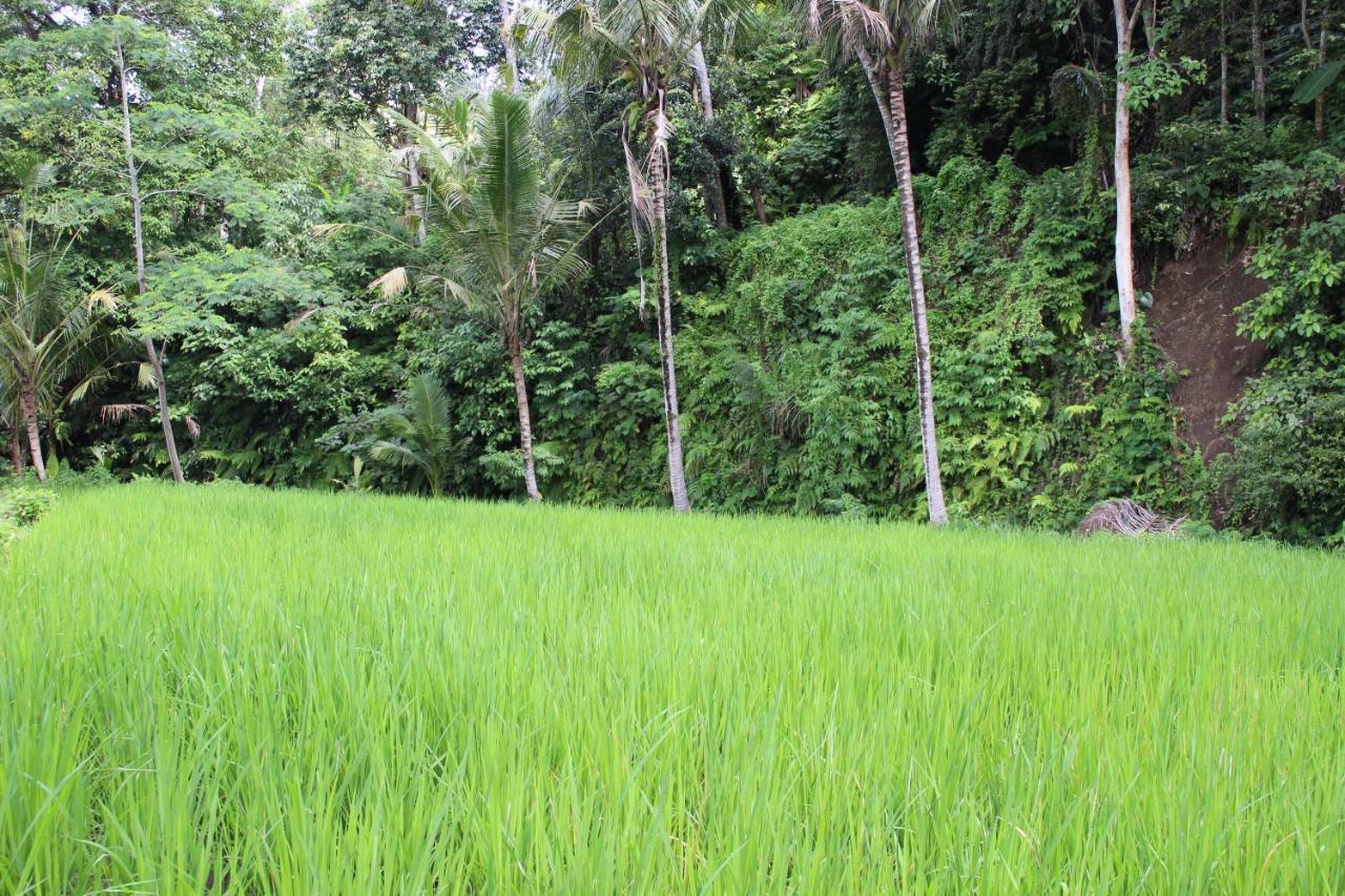 Pondok Tepi Sungai Sidemen  Buitenkant foto